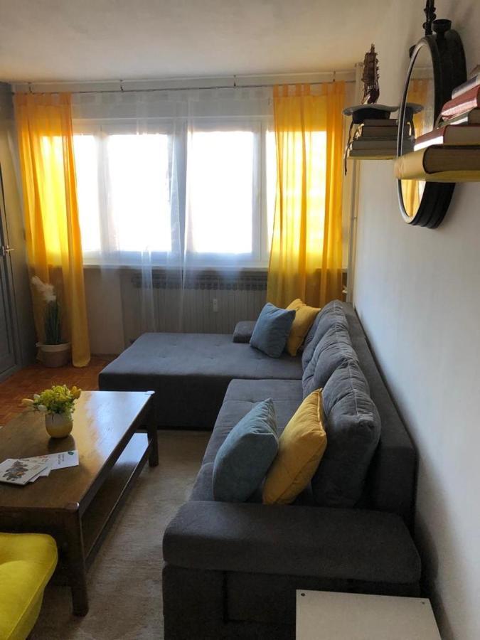 Ami-Go/ Blizu Zracne Luke Zagreb Apartment Velika Gorica Bagian luar foto